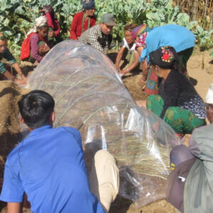 Grow More Vegetables