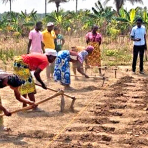 New Ways to Plant