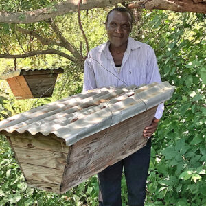 Beehive
