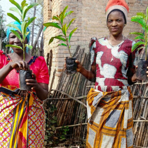 Plant More Fruit Trees