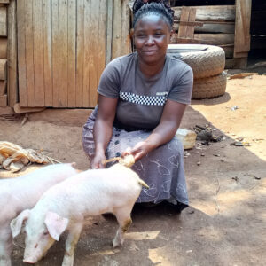 Prime Piglet